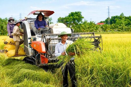 Cựu binh thương tật 65% cải tạo đất hoang ở Quảng Trị, gây dựng cơ ngơi tiền tỷ