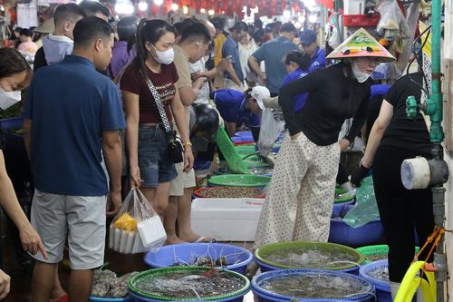Chợ hải sản ở Quảng Ninh đông nghịt khách dịp nghỉ lễ, chủ sạp mỏi tay đóng hàng