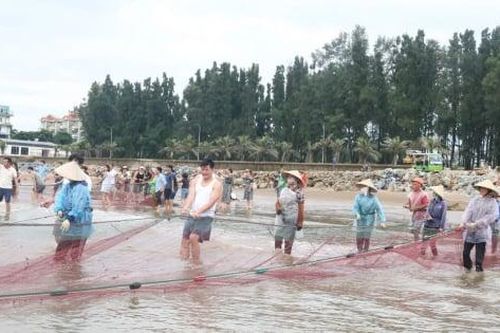 Giám đốc sở, chủ tịch xã ở Thanh Hóa xuống biển kéo rùng, kích cầu du lịch