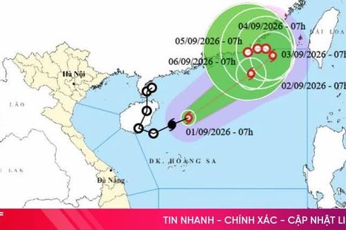 Áp thấp nhiệt đới mạnh lên thành bão số 5