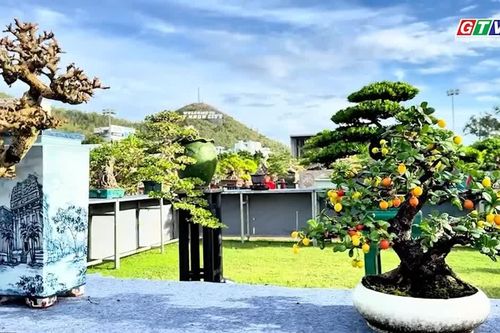 Lung linh vẻ đẹp hải châu