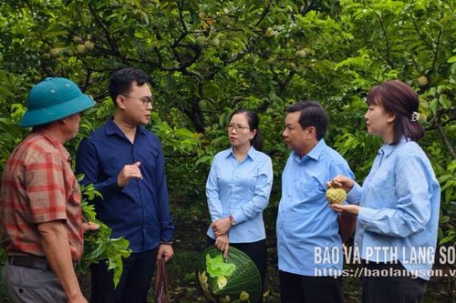 Khi chính quyền gần dân