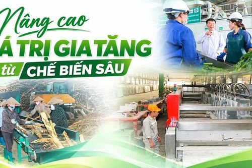 Nâng cao giá trị gia tăng từ chế biến sâu
