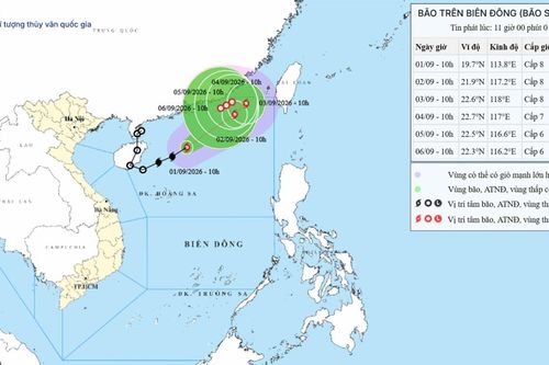 Dự báo bão số 5 trên Biển Đông ngày 01/09/2026: Gió mạnh cấp 8, giật cấp 10, sóng biển dâng cao