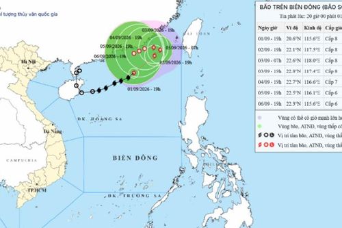 Tin bão số 5 trên Biển Đông ngày 01/09/2026: Sức gió giật cấp 10, sóng biển dâng cao đến 6m
