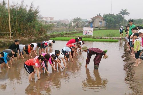 Nhân rộng các mô hình du lịch nông nghiệp