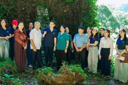 Theo dấu những làn sóng năm xưa