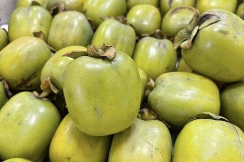 Loại quả đặc sản có ở Thái Nguyên giá 170.000 đồng/kg, trồng trong sân nhà ăn suốt nhiều năm, còn chiêu tài hút lộc