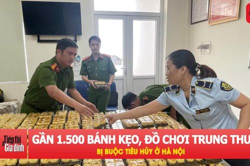 Gần 1.500 sản phẩm bánh kẹo, đồ chơi vi phạm bị tiêu hủy