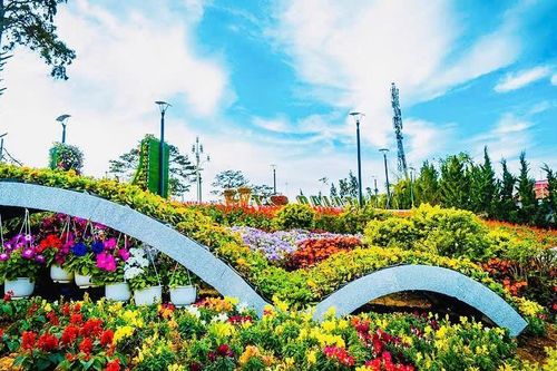 Đẩy mạnh quảng bá Festival Hoa Đà Lạt lần thứ XI trên đa nền tảng