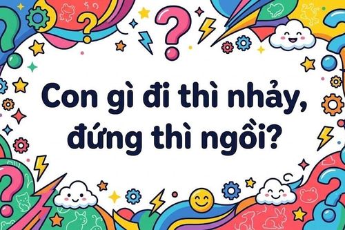 99% người không giải được câu đố này: Con gì đi thì nhảy đứng thì ngồi?