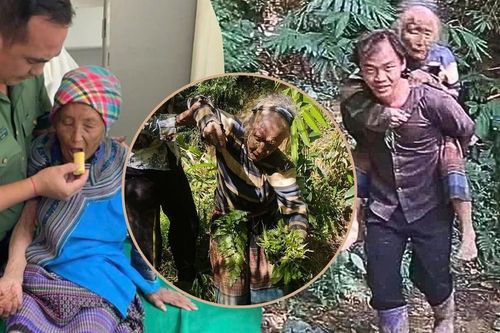Cụ bà 81 tuổi mất tích trong đêm mưa, manh mối bất ngờ từ 2 bó rau