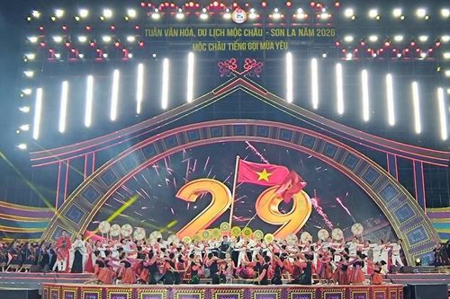 'Tiếng gọi mùa yêu' lan tỏa sắc màu, mời gọi du khách đến Mộc Châu