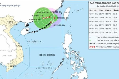 Bão số 5 mạnh cấp 8, khu vực bắc Biển Đông có sóng cao, biển động mạnh