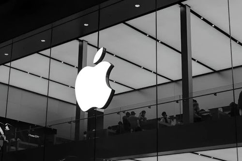 Giải mã 'con số 4' đứng sau chiến lược iPhone của Apple