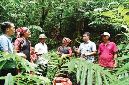 Lai Châu rút ngắn khoảng cách phát triển cho vùng 'lõi nghèo' dân tộc Mảng, La Hủ