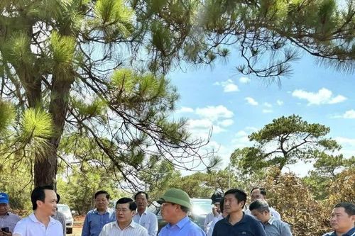 'Điểm đến chiến lược' của nhà đầu tư