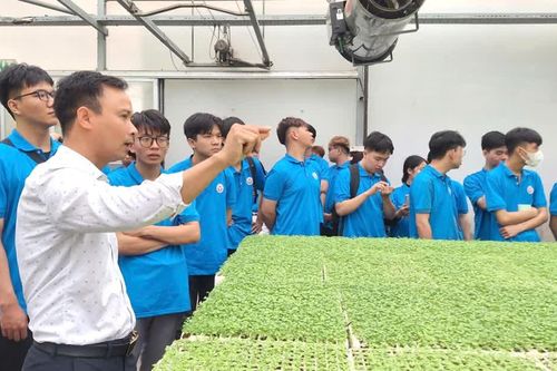 Bài 2: Khi giảng đường bước ra ngoài bốn bức tường