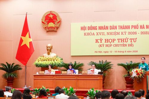 Chánh Văn phòng Đoàn đại biểu Quốc hội và HĐND được xếp ngạch chuyên viên cao cấp