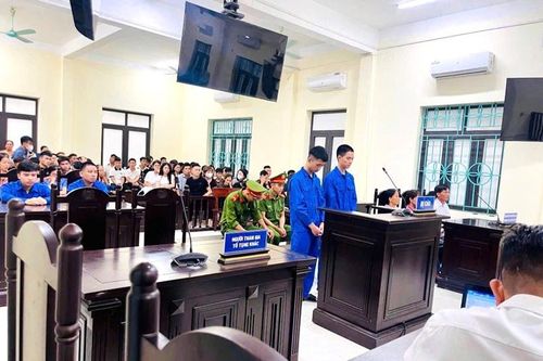 Kiến nghị tăng cường phòng ngừa tội phạm về ma túy