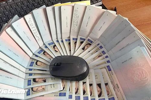 Nhiều chủ doanh nghiệp nước ngoài rời Nhật Bản do quy định thị thực nghiêm ngặt