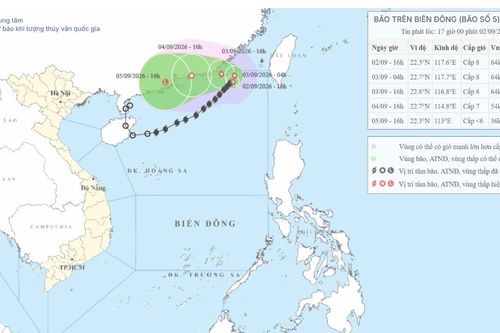 Dự báo đến ngày 4/9, bão số 5 khả năng suy yếu thành áp thấp nhiệt đới