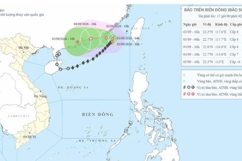 Dự báo đến ngày 4/9, bão số 5 khả năng suy yếu thành áp thấp nhiệt đới