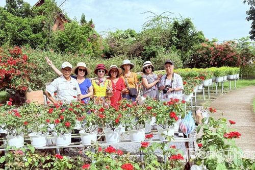 Du lịch Đồng Tháp nhộn nhịp dịp Lễ 2-9