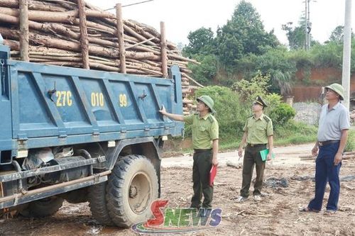Tăng cường quản lý cơ sở chế biến lâm sản