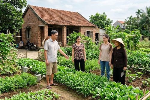 Cách chia đất đai thừa kế khi ông bà qua đời không để lại di chúc