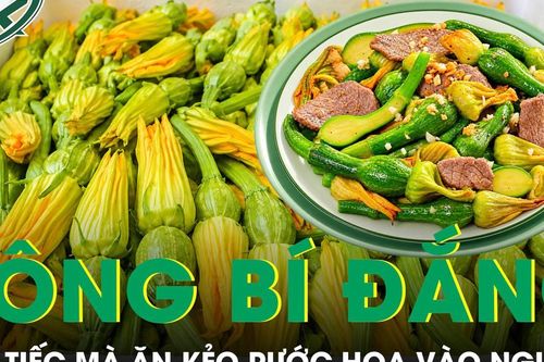 Bông bí đắng gắt chớ tiếc mà ăn kẻo rước họa vào người