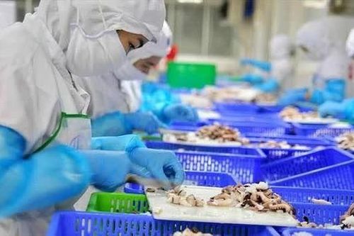 Xuất khẩu nông sản 8 tháng thu về hơn 49 tỷ USD