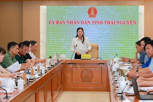 Festival Trà Quốc tế Thái Nguyên 2026 vào chặng nước rút