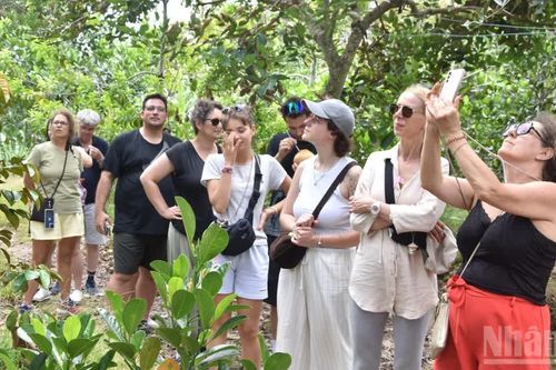 Đồng Tháp tập trung quảng bá hình ảnh ra nước ngoài