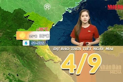 [Video] Dự báo thời tiết đêm nay và ngày mai 4/9/2026: Bão số 5 suy yếu, không còn khả năng ảnh hưởng trực tiếp đến Việt Nam