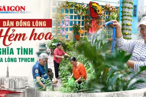 TPHCM: Nhiều hẻm hoa xanh mát nhờ người dân đồng lòng