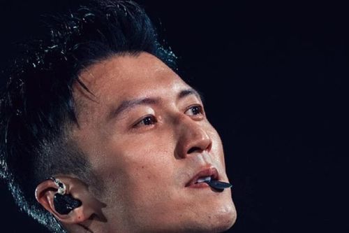 Mượn danh Tạ Đình Phong đi lừa đảo