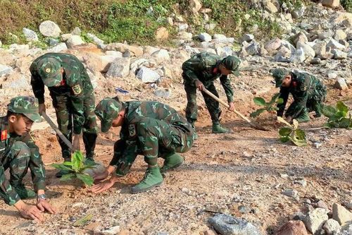 Tuổi trẻ Quân khu 9 trồng hơn 8.000 cây xanh, vận động người dân giảm rác thải nhựa