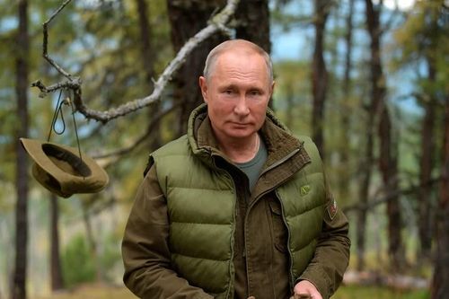 Tổng thống Nga Putin chạm trán hổ khi lái xe xuyên rừng