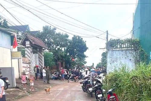 Dùng kéo đâm chết người tình, tấn công con trai nạn nhân