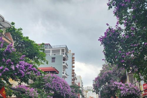 Hải Phòng tạm cấm đường Cầu Đất để thu hồi, vận chuyển và huỷ nổ 1 quả bom