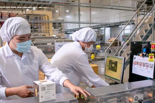 Gần 206,4 nghìn doanh nghiệp gia nhập và quay lại thị trường trong tám tháng