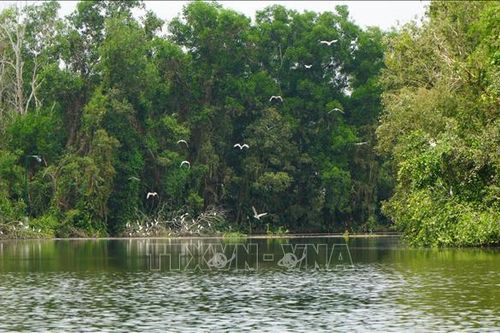 Một Đồng Tháp Mười thu nhỏ với hệ sinh thái phong phú ở Đồng Tháp