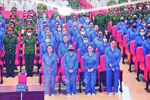 Tuyên án tử hình 11 bị cáo trong vụ án ma túy liên quan đến tiếp viên hàng không