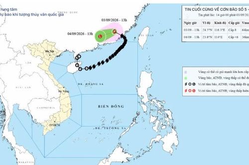 Tin cuối cùng về bão số 5