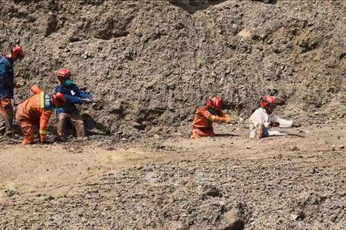 Lũ quét tại Nepal và Trung Quốc: Chú trọng hỗ trợ tâm lý sau thảm họa