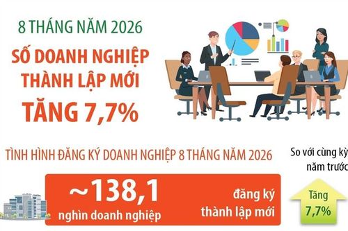 8 tháng năm 2026: Số doanh nghiệp thành lập mới tăng 7,7%