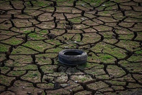 LHQ cảnh báo El Nino mạnh nhất trong nhiều thập kỷ