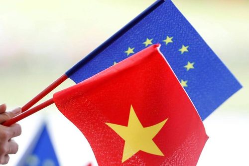 EVFTA sau 6 năm: Cánh cửa thuế quan mở, nhưng lại vướng 'bức tường xanh'
