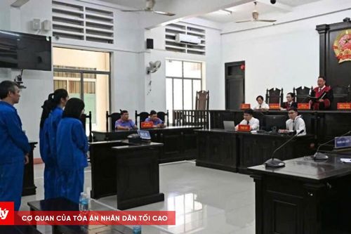 TAND tỉnh Khánh Hòa tăng tốc giải quyết đơn, án, giữ vững chất lượng xét xử